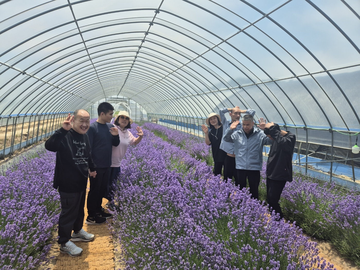 20250711 라벤더향수 만들기 (2).jpg