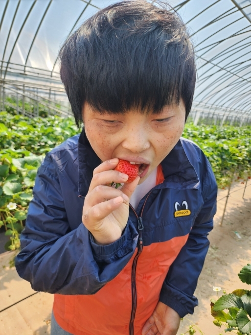 KakaoTalk_20260402_153715623_02.jpg